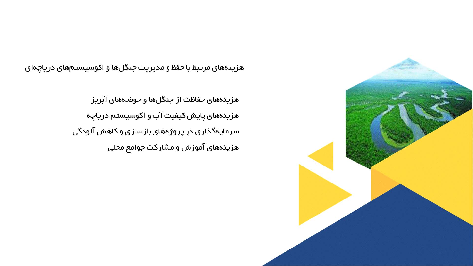 پاورپوینت در مورد اثرات جنگل‌ها بر اکوسیستم‌های دریاچه‌ای